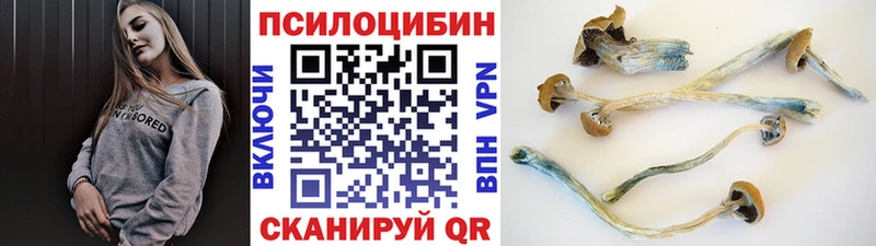 kraken сайт  Агидель  Галлюциногенные грибы Psilocybe 